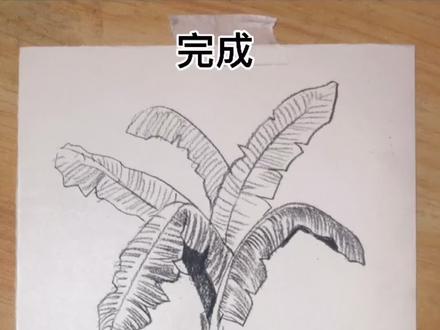 #创作灵感 #零基础学画画 #芭蕉树绘画 @抖音小助手
