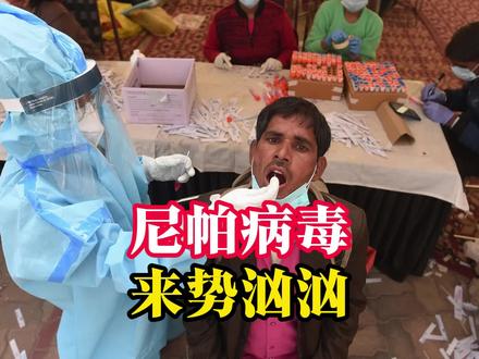 具有全球传播潜力,必须严谨防控 #科普 #印度 #印度尼帕病毒 #青年创作者扶持计划
