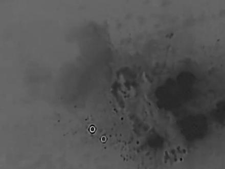 美军称“成功打击”伊朗哈尔克岛90多个军事目标(记者:胡友松)