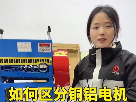 如何分辩铜铝电机#铜电机 #剥线机#扒皮机#光隆#电线