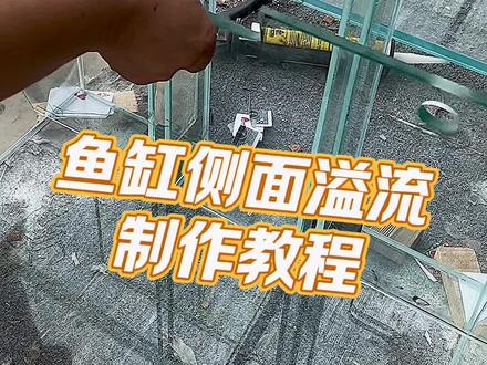 侧面溢流制作教程#兰寿金鱼 #超白鱼缸 #水族 #兰寿 #观赏鱼
