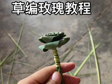 草编玫瑰教程~#鲜花