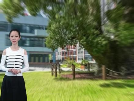 作文指导 校园一景 香樟树