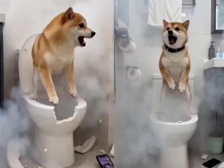 AI管道烟花恶作剧特效教程#ai管道烟花恶作剧 ai放鞭炮特效一键生成 #剪映 随变AI打开过年姿势 #ai管道鞭炮特效入口 AI烟花搞笑视频 ai搞笑烟花教程 随变放炮炸出一个小可爱 ai放炮生成视频 ai放鞭炮特效生成入口 ai特效猫咪 ai小猫 #猫咪ai特效教程 #猫咪ai特效生成拍同款 如何用ai制作视频 ai管道放鞭炮恶作剧特效入口