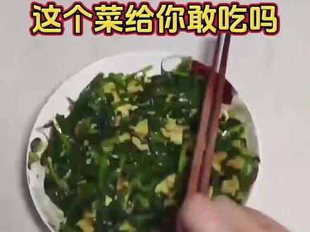 婆婆太节省,竟用油烟机里的油炒菜...