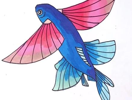飞鱼能飞多远?#简笔画