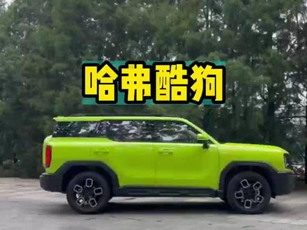 哈弗酷狗终于来了,作为哈弗犬舍新成员,你觉得这个狗怎么样?#哈弗酷狗