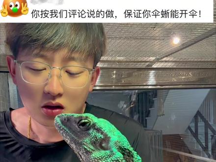 听取大家的意见五千九终于开伞啦!!!#万物可爱计划