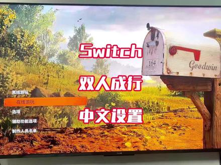 双人成行中文语言设置#switch#主机游戏#游戏推荐#游戏指南#语言设置
