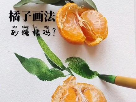 过年就吃砂糖橘吗???#抖音小助手 #热门 #砂糖橘