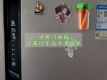 #冰箱 对开门冰箱冷冻室漏水,原来是这里出了问题