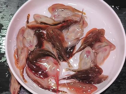 吸鳅小精灵申请入驻你的鱼缸!呆萌模样超治愈,专吃藻类清洁鱼缸超省心,混养无压力,水族爱好者必备小可爱~#轻松养鱼 #水族爱好者 #鱼缸里的大自然 #吸鳅 #原生缸
