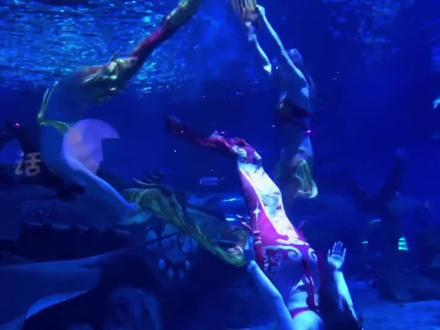 暑期的治愈之地在这里 来跟我一起探索这场奇妙的海洋世界之旅吧!#在天津海洋馆里避暑就对了