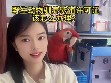 开养殖场的办证流程#野生动物驯养繁殖许可证 #鹦鹉小姑