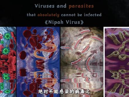 无疫苗无解药,致死率高达75%的尼帕病毒,究竟什么来头? #尼帕病毒 #印度疫情 #印度病毒 #病毒 #病毒传染