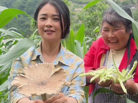 今天和妈妈一起讨四季豆,运气不错捡了一朵大菌子