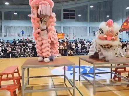 考辛斯校园行,学校最高礼仪舞狮庆祝🎉#考辛斯 #集梦116 #集梦会长 #星街战街球联赛 #考辛斯集梦116首秀