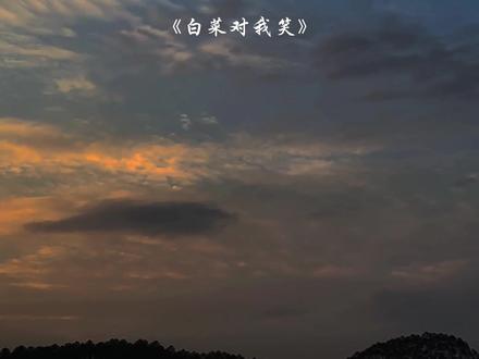 “白菜白菜白菜对我笑”#音乐#白菜对我笑