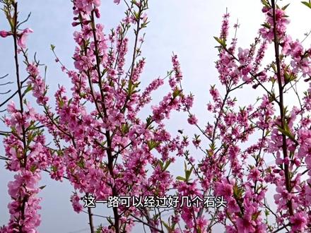 化布施村溶洞的路书来了
#户外 #骑行 #旅行