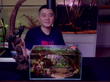 40cm*23cm*20cm 以小见大-草缸造景讲解