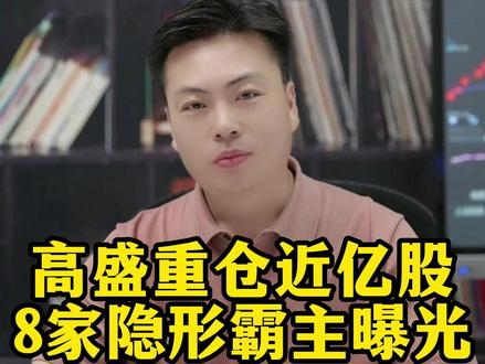 高盛重仓近亿股 8家隐形霸主曝光 #高盛 #财经 #干货 #股市 #股票