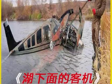 #我的观影报告#冷知识科普