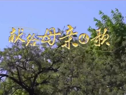 【冉冉升起的明星:黎文韬】中央芭蕾舞团黎文韬视频小合辑(1)