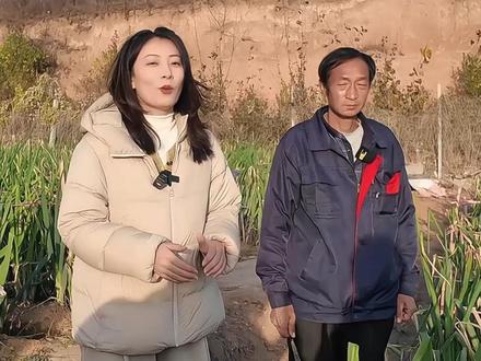 听2025年新晋葱王苗发勇老师揭秘,高、大、脆、白、甜,五项全能!一口就上头章丘大葱。你心动了吗?#章丘大葱 #山东美食