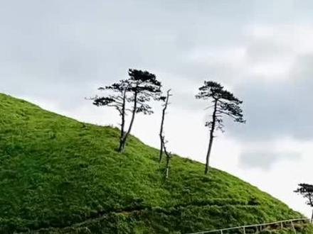 沪剧欣赏:为你打开一扇窗(没关注的关注一下吧)。