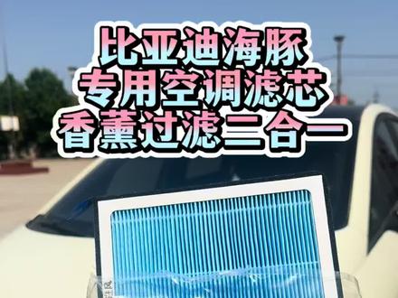 比亚迪海豚专用空调滤芯,香薰过滤二合一 #空调滤芯更换 #比亚迪 #比亚迪海豚 #用车知识分享 #开海豚的年轻人小慧