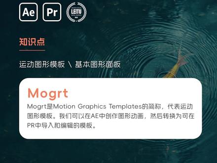 如何在Pr中使用Ae制作的运动图形模板 #pr教程 #AE教程 #mogrt #运动图形模板