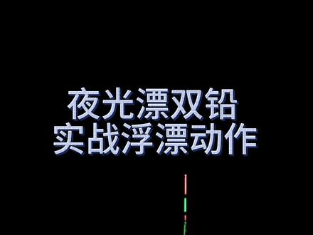 夜光漂调漂双铅 浮漂动作
#钓鱼