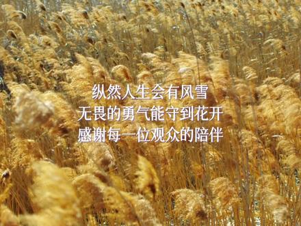 #长安二十四计收官 爱你老计下次见。#长安二十四计