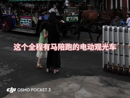 天津。五大道。马拉车