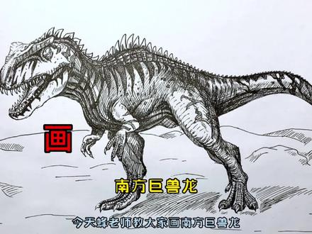手绘恐龙教程、教你如何画恐龙、南方巨兽龙篇#画画 #手绘 #绘画过程 #恐龙 #侏罗纪世界