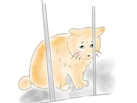 大橘:不好意思 忘了我是来要饭的了!#画 #画画 #画一个故事