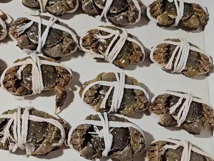 主打一个老板卖啥我们吃啥#热门话题 #打工人 #内容过于真实 #车厘子自由