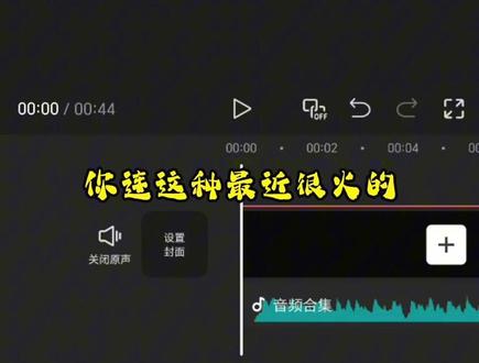 那我问你为什么不找一毛学#剪辑 #新手剪辑视频教程 #剪映#双重文字#爆改歌词