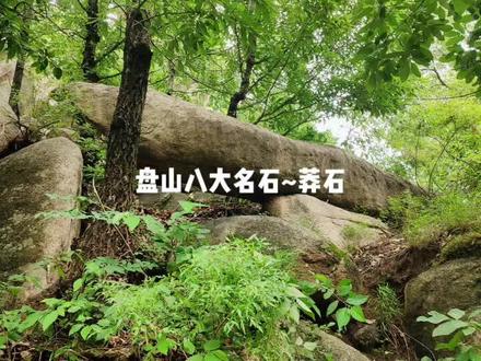 盘山蟒石位于蓟县盘山少林寺遗址前,长6米余,上下有孔,黑磷片片,形如巨蟒,故称。东石壁刻“盘山古蹟”四个篆字,旁书“带川题”。带川,金大定时人,白峪亦有蟒石,长10米余,广1米许。#蓟州旅游 #历史古迹