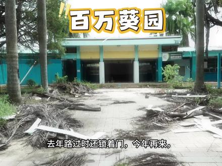 再见了,南沙百万葵园 一座被时光按下暂停键的童话王国🦢
#百万葵园 #广州南沙 #废墟美学 #旧时光 #广州小众秘境