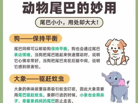 动物科普 | 动物尾巴的这些用途你都知道吗