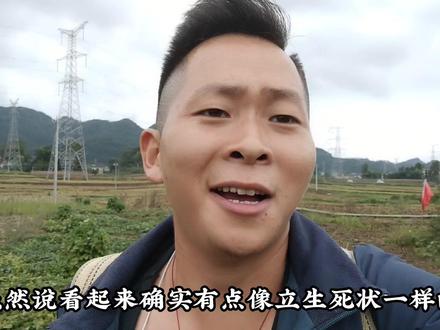 太子妃飞不见了,搞得我连婚书都不知道是什么样的,只能喂喂兔子😅😅😅#三农 #我的乡村生活 #农村生活 #记录真实生活 #新农村计划2022