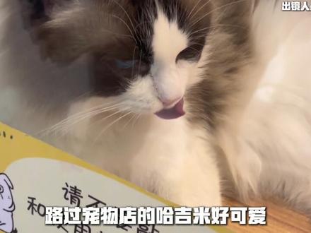 挑战用仓库里的哈夫币带妈妈约一次会#三角洲行动 #红猫电竞 #vlog