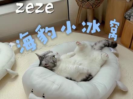 zeze海豹小凉窝 zeze把懒人沙发做给懒猫睡,哪只猫都得在这懒一会,主要是它这面料柔软又不闷汗,冰冰凉凉的,夏天躺着睡一觉真的太爽了。#猫窝推荐#夏季猫窝#zeze猫窝#萌宠好物#新手养猫