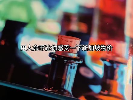 用人民币让你感受一下新加坡物价#新加坡 #新加坡生活 #新加坡物价 #出国旅游 #出国