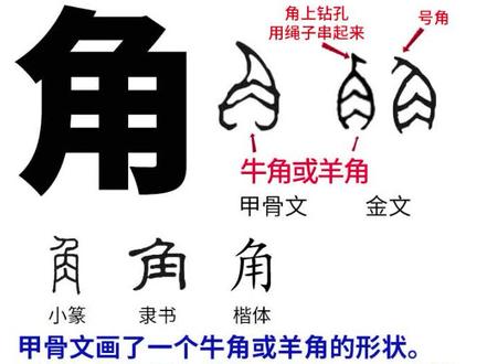 角 #甲骨文 #汉字 #牛
