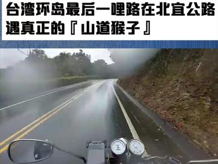 台湾环岛最后一哩路在北宜公路遇真正的『山道猴子』?! #摩旅 #台湾人 #台湾省 #台湾旅行vlog