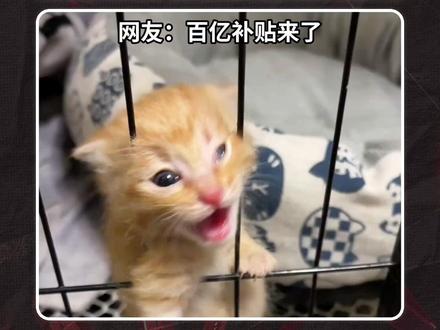 史上跌停封单手数最多的股票诞生了... #财经 #股市 #利欧股份 #跌停 #同花顺财经