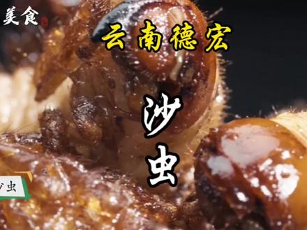 云南德宏人喜爱食用沙虫,这种虫子学名为蛴螬,各地叫法不同。雨季过后,沙虫出现在浅表土层,德宏人会捕捉它们。它富含蛋白质、氨基酸及钙、磷、铁等营养,有 “虫中人参” 之称#地方特色美食 #沙虫 #地方美食 #撒撇 #青年创作者成长计划