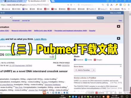 第3集 Pubmed 下载文献 从0开始学习医学英文文献#科研狗#